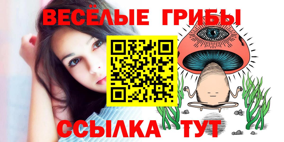 Псилоцибиновые грибы прущие грибы  Вход с VPN  Краснокаменск 
