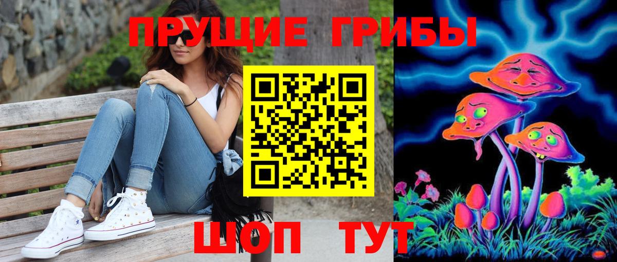 Галлюциногенные грибы Psilocybine cubensis Краснокаменск